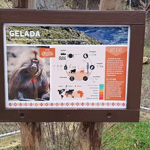 Sign Gelada