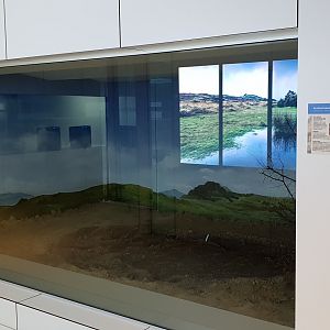 Conservation Center - Future enclosure Ploughshare tortoise