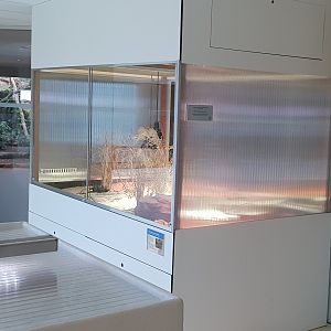 Conservation Center - Enclosure Egyptian tortoise