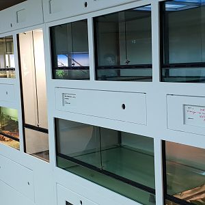 Conservation Center - Enclosures