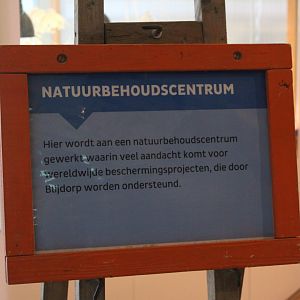 Sign Conservation Center