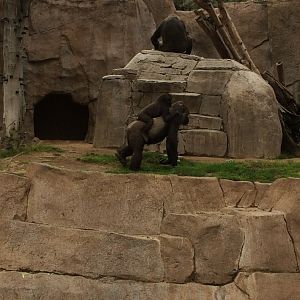 Kokomo, Joanne and leslie