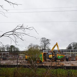 Lion Enclosure Construction Progress at Chester 07/03/19