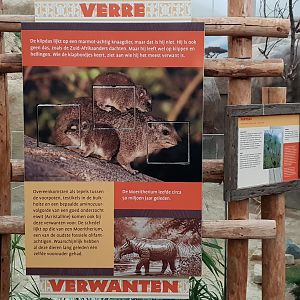 Hyrax info-sign