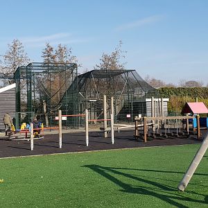 Playing ground and monkey-cages
