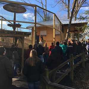 Red Panda grand opening donor event