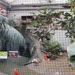 Indoor ibis and spoonbill-enclosure