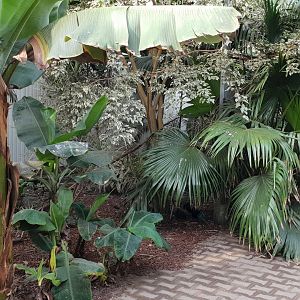 View into Tropical House
