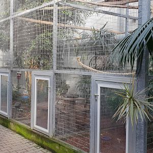 Monkey and bird enclosures