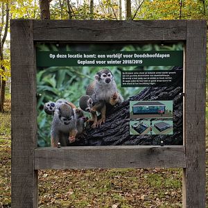 Plan of newly planned Squirrel monkey enclosure