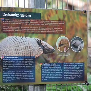 Sign Six-banded armadillo