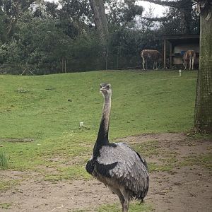Puente al Sur exhibit