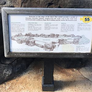 Habitats represented in Edge of the Reef