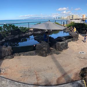 The entirety of Edge of the Reef