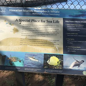 Sign about a marine sanctuary