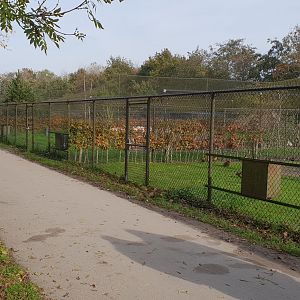 Enclosures Waders and Waterfowl