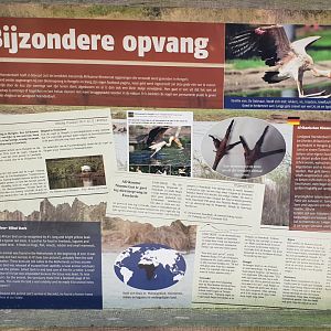 Info-sign about a very special Yellowbill