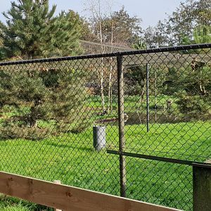 Crane - Duck enclosure