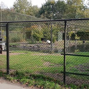 Crane - Duck - Muntjac enclosure