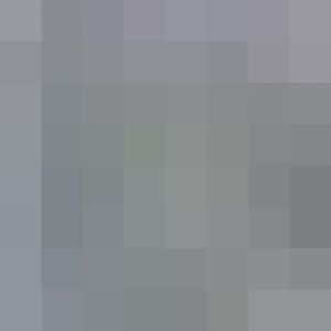 Kelabu watching the ducks