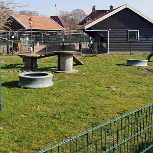 Enclosure Farm-animals