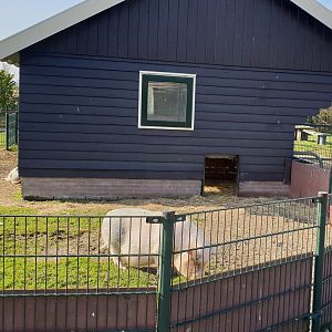 Pig-enclosure