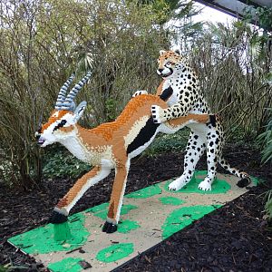 'Lego Big Cats'- Cheetah