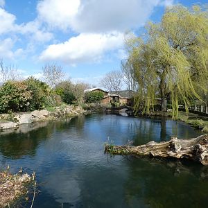 Giant Otter outdoor enclosure