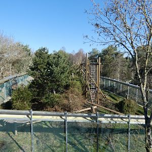 Wooly Monkey enclosure