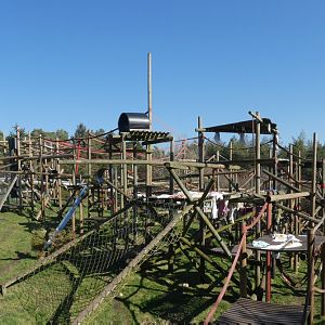 Outdoor Chimpanzee enclosure