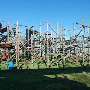 Bornean Orang-utan outdoor enclosure