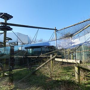 Second Wooly Monkey enclosure