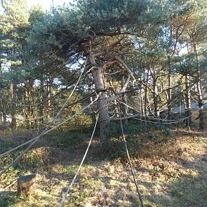 Third Wooly Monkey enclosure