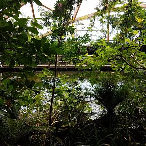 View into Amazonica