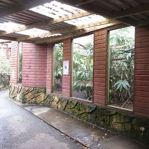 Viewing window - Yellow-throated marten enclosure 040319