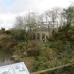 View towards gibbon enclosure 040319