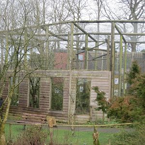 Gibbon enclosure 040319