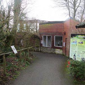 Black and white ruffed lemur enclosure 040319