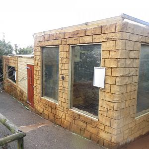 New block of parrot aviaries 040319