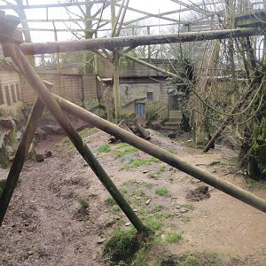 Puma enclosure 040319