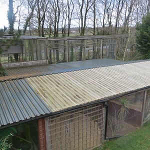 View towards aviaries and Lar gibbon enclosure 040319