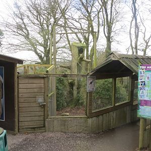 Abyssinian ground hornbill enclosure 040319