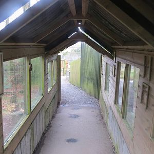 Covered walkway next to Bush dog enclosure 040319