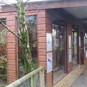 Newer aviaries 040319