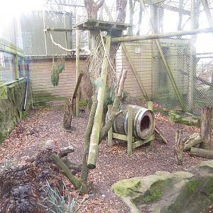 Fishing cat enclosure 040319