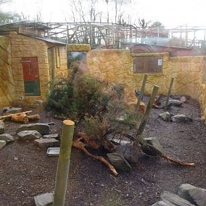 Cape porcupine enclosure 040319