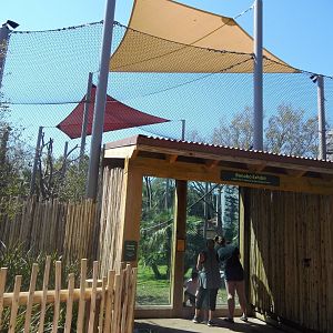 New Bonobo Exhibit Viewing Area