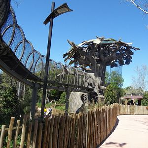 Another elevated primate trail