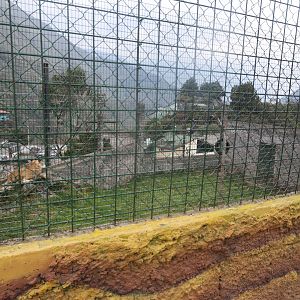 Enclosure with young lions in Zoo Vida Exótica in Baños