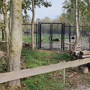 Brown bear enclosure